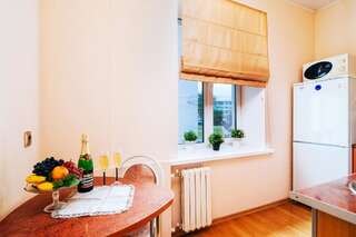 Апартаменты Apartment at the railway station Минск Апартаменты с 1 спальней и балконом-7