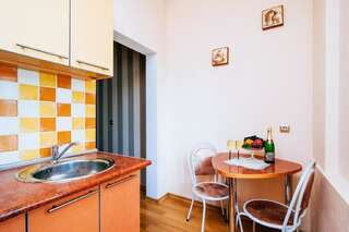 Апартаменты Apartment at the railway station Минск Апартаменты с 1 спальней и балконом-8